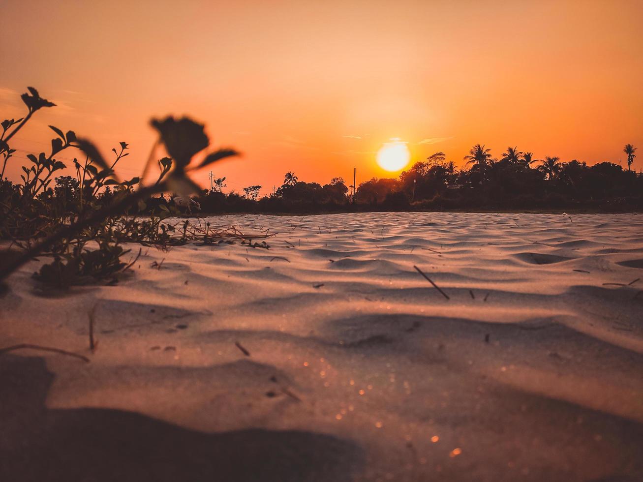 sunset in The desert, sunset desert close up short with the ground, Sand dunes sun on top of the forest, Evening sunset Sand dunes photo