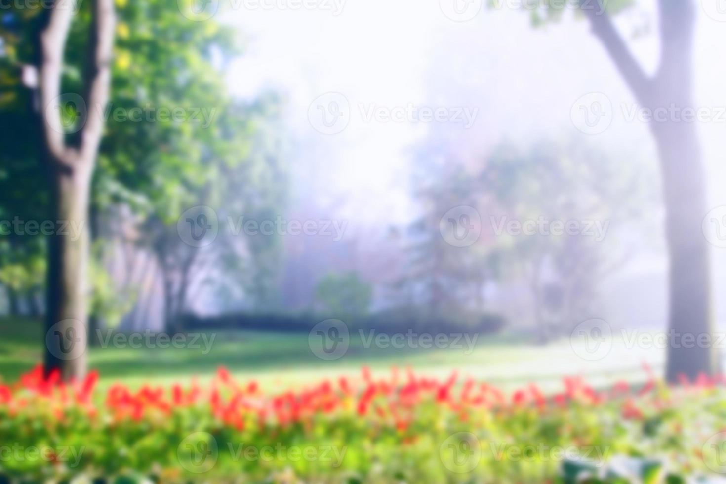 red flover in forrest blurred background, nature concept photo
