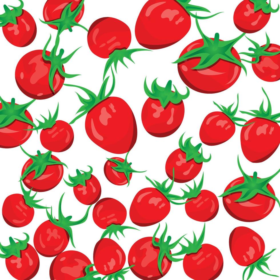 Red Tomatoes With White Background Illustration vector