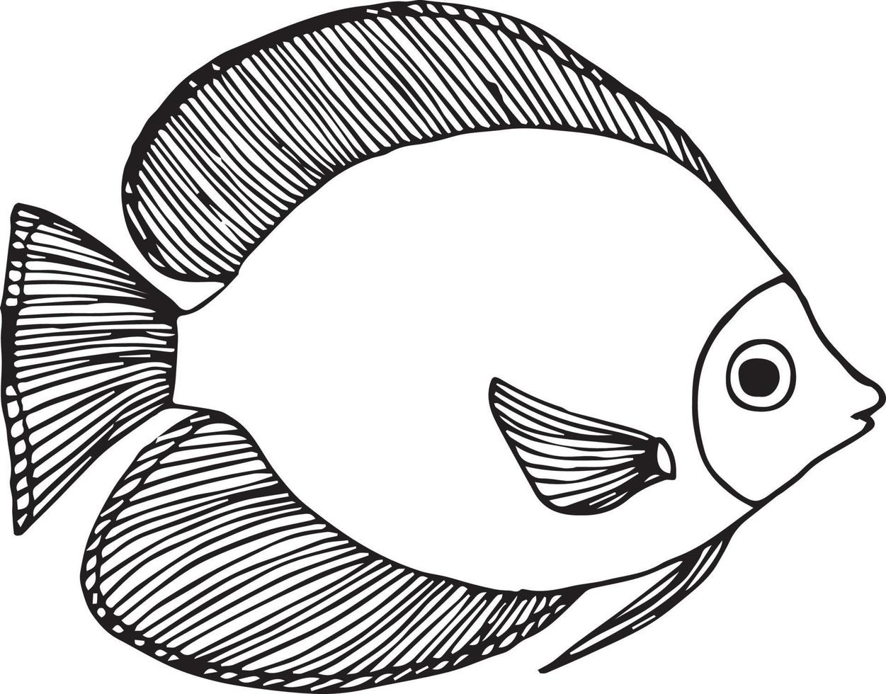 Doodle fish on white backgound vector