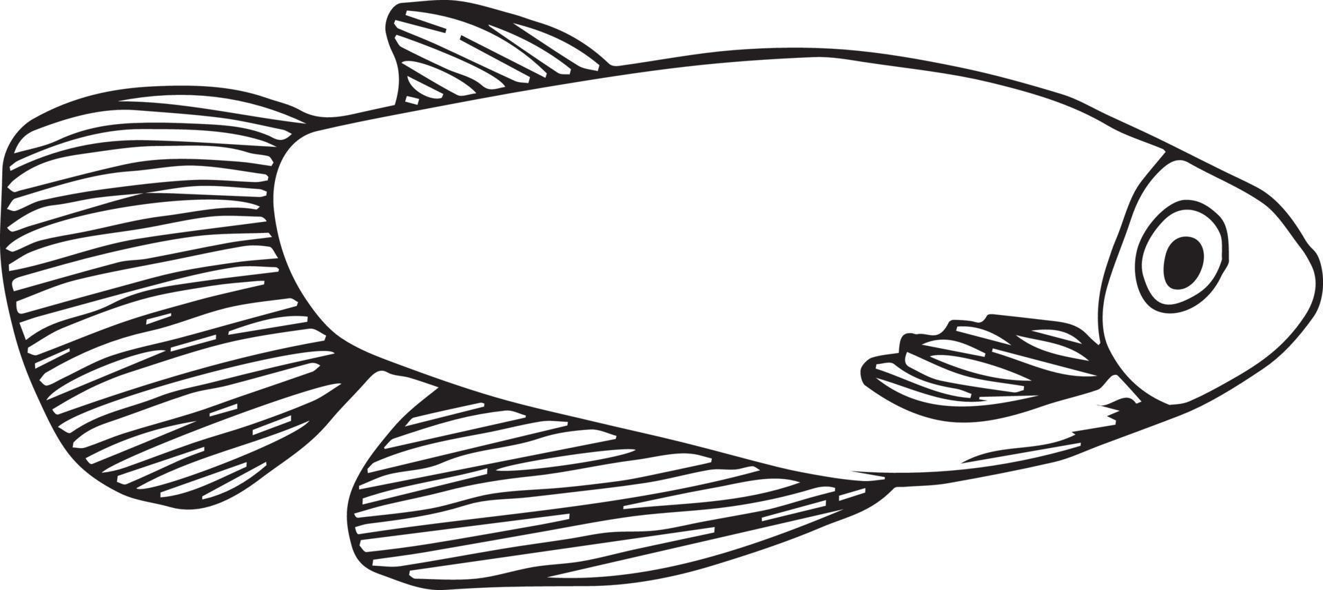 Doodle fish on white background vector