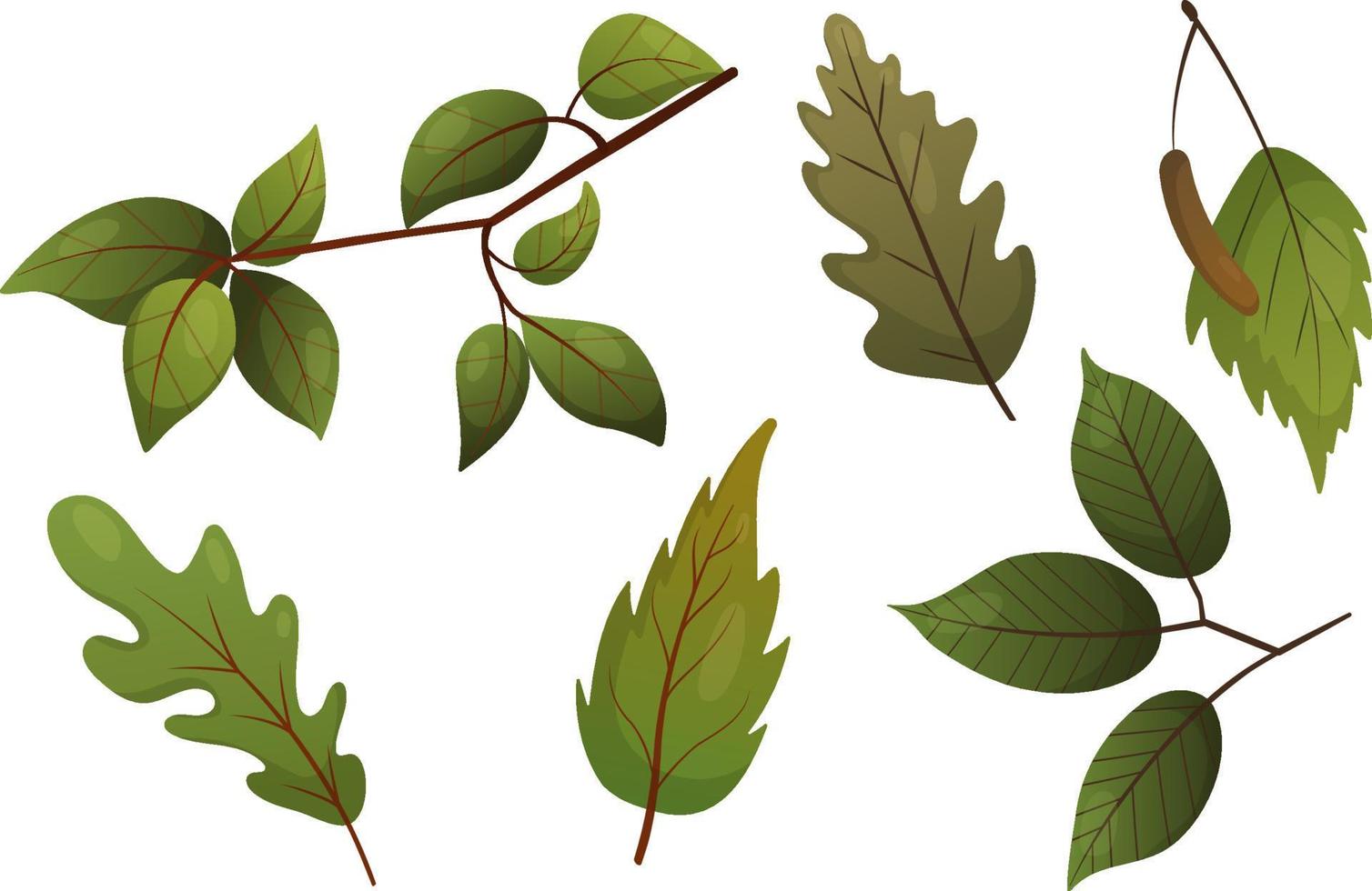 conjunto de vectores con hojas verdes