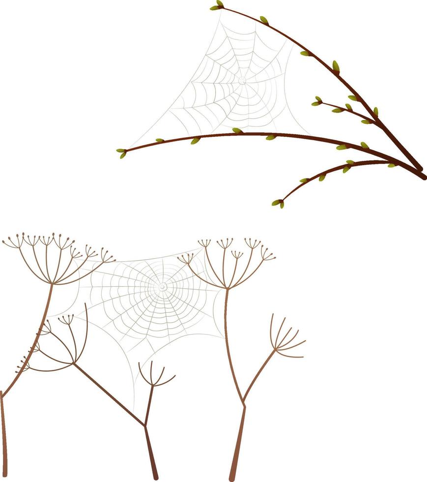 Twigs with cobwebs vector