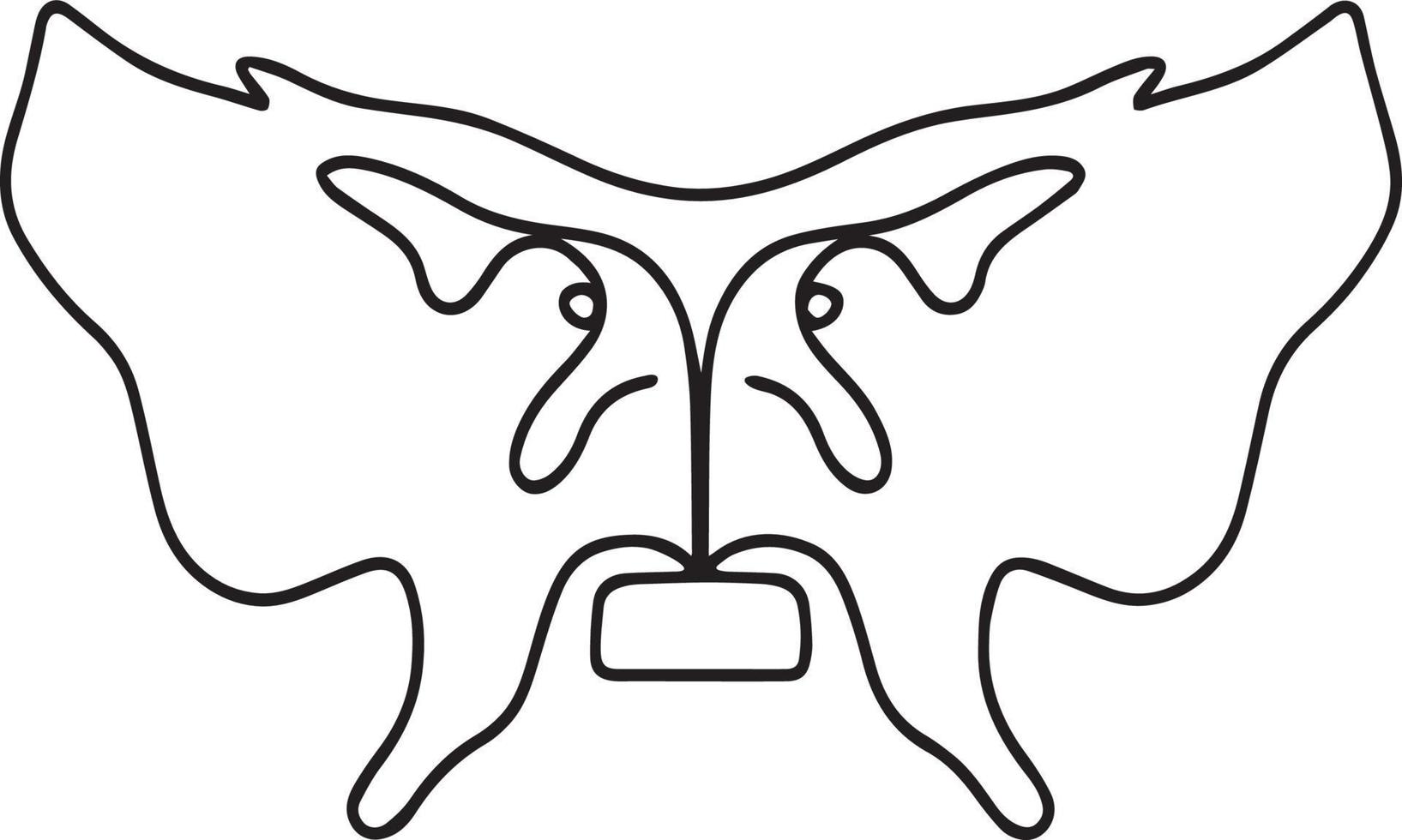 Cranial's bone sphenoid vector