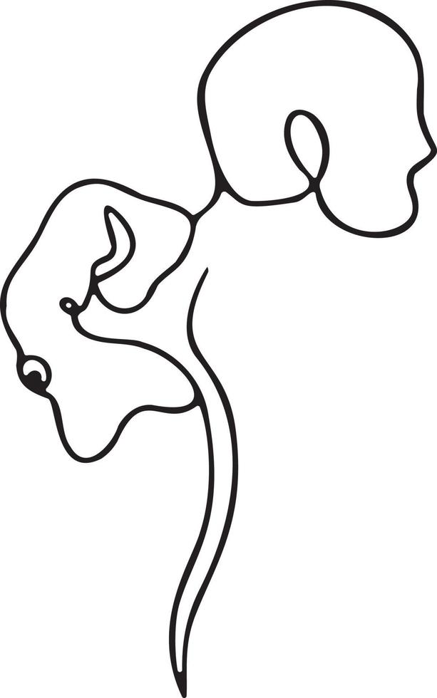 Buffalo's hump spine vector