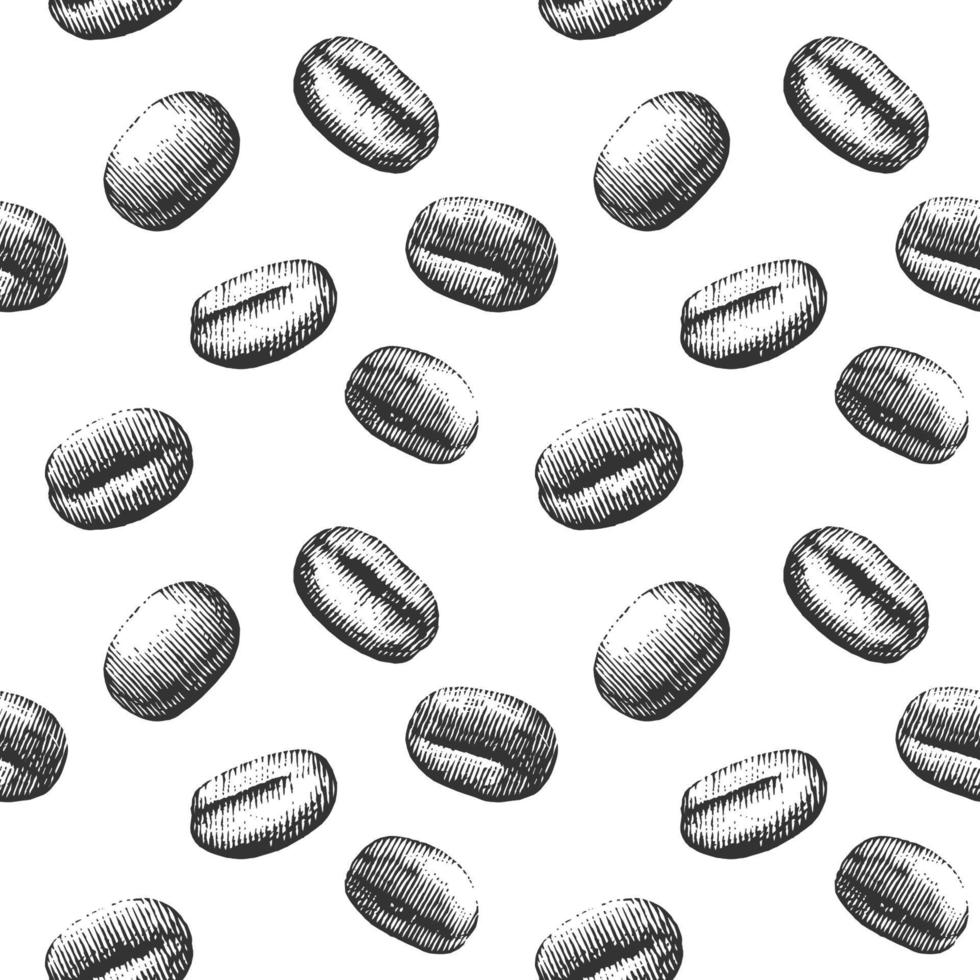 Seamless Pattern of Coffee Bean Hand Drawn Vintage Engraving Style vector