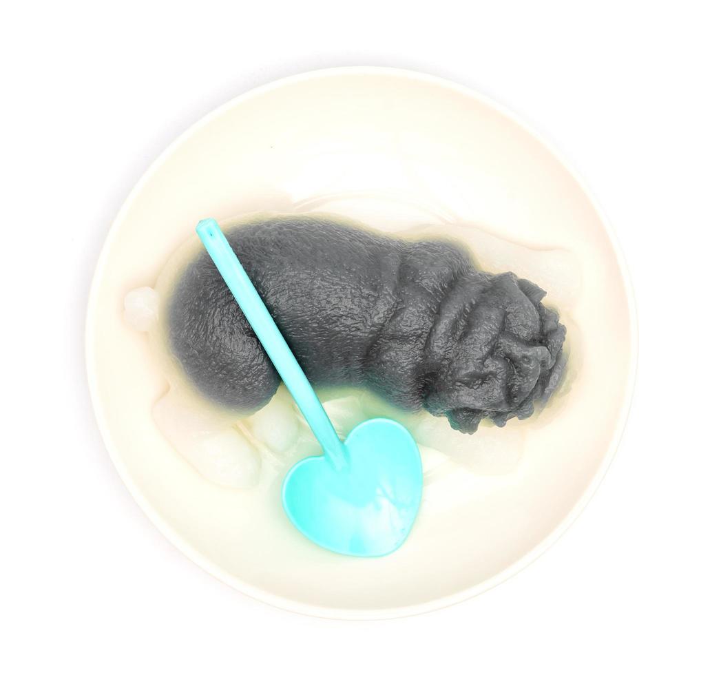 Thai desserts,gray shape-dog jelly on white background photo