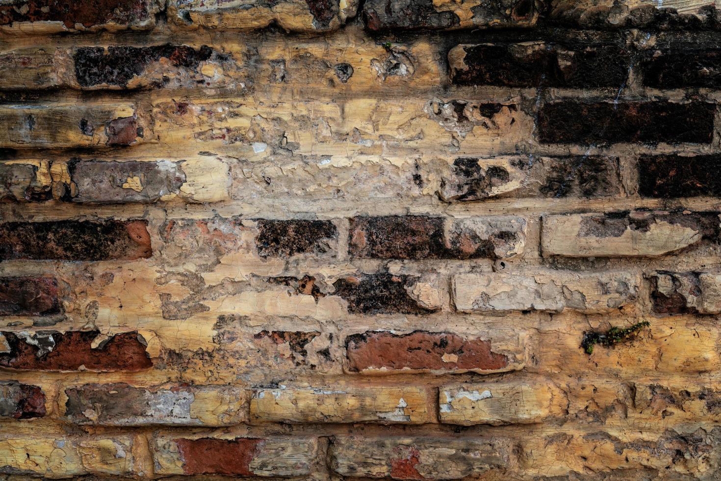 Brown ancient bricks wall pattern photo