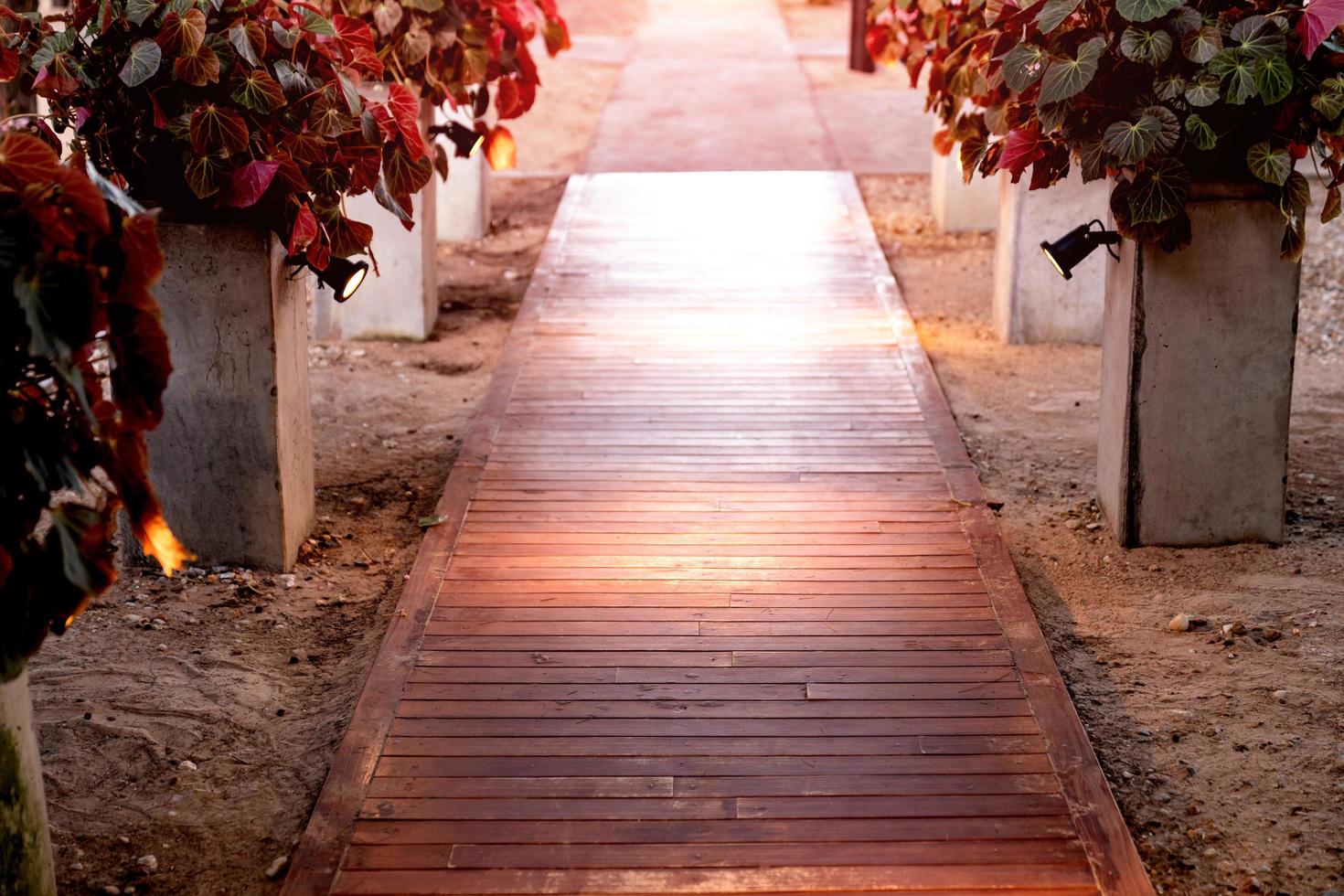 wooden walkway in garden with ornamental plants photo