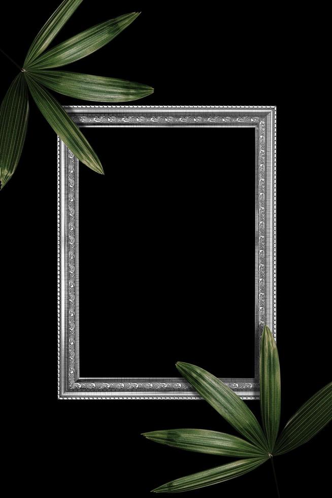 Green leaves pattern with white frame for nature concept,tropical leaf tree textured background photo