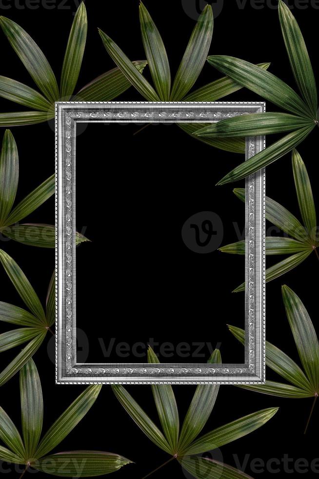 Green leaves pattern with white frame for nature concept,tropical leaf tree textured background photo