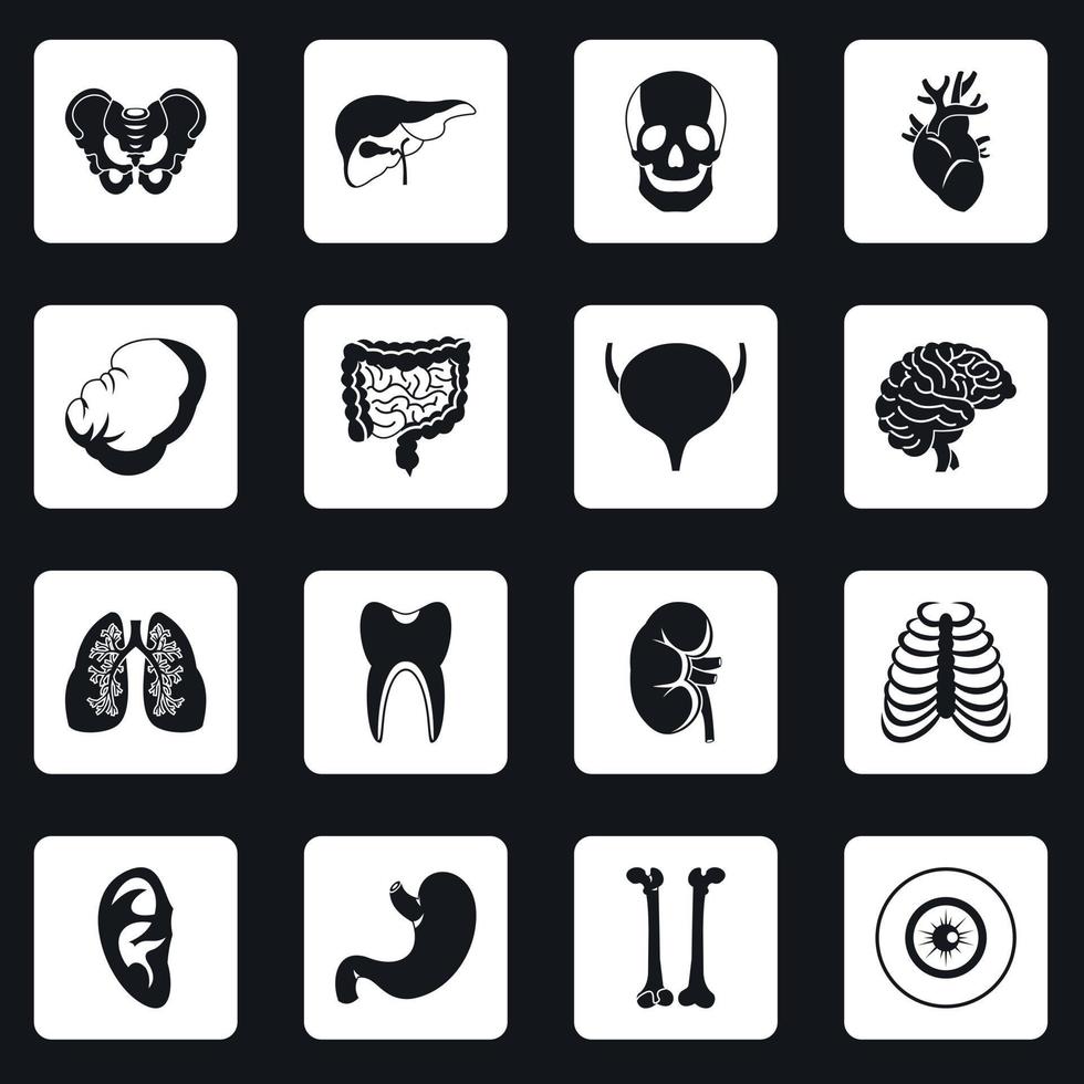 Human organs icons set squares vector