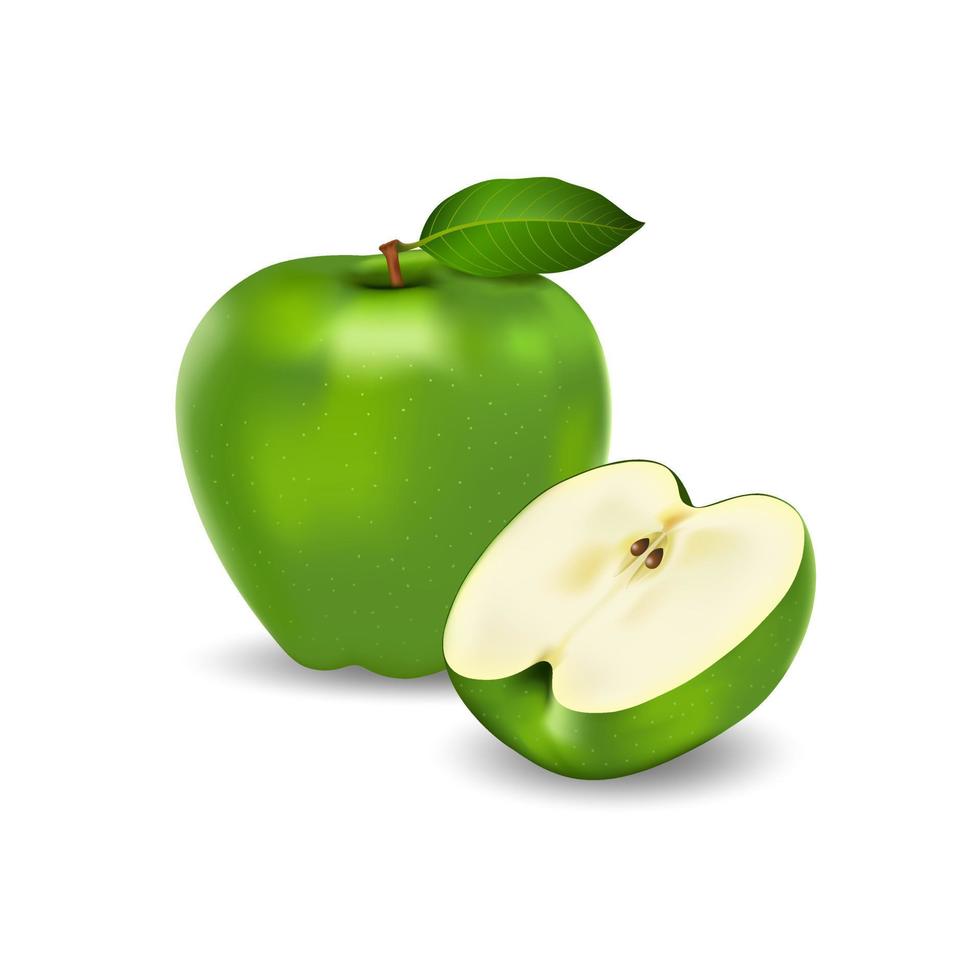 Fresh green apples are appetizing and cut in half to show their freshness.vector for illustration design vector