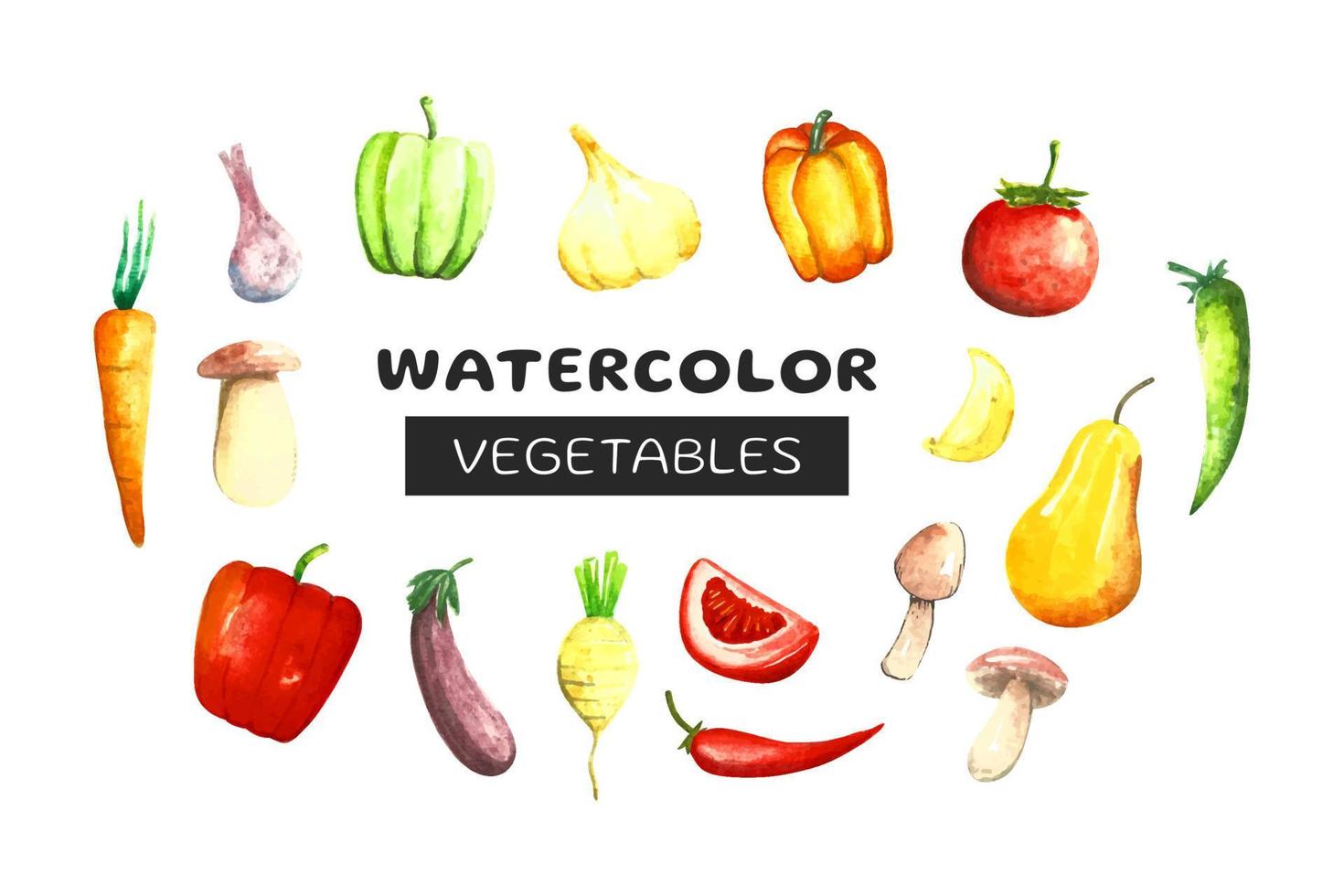 Set of cute hand drawn watercolor vegetable and fruit. vector