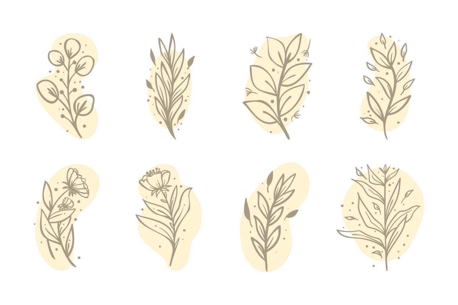 Collection of hand drawn botanical flower composition. Tropical floral doodle branches. vector