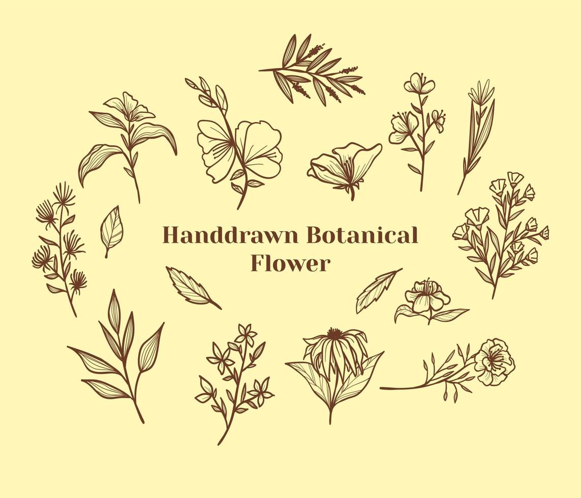 Set of hand drawn botanical flower, leaf and branches doodle. Vintage botanical floral illustration. vector
