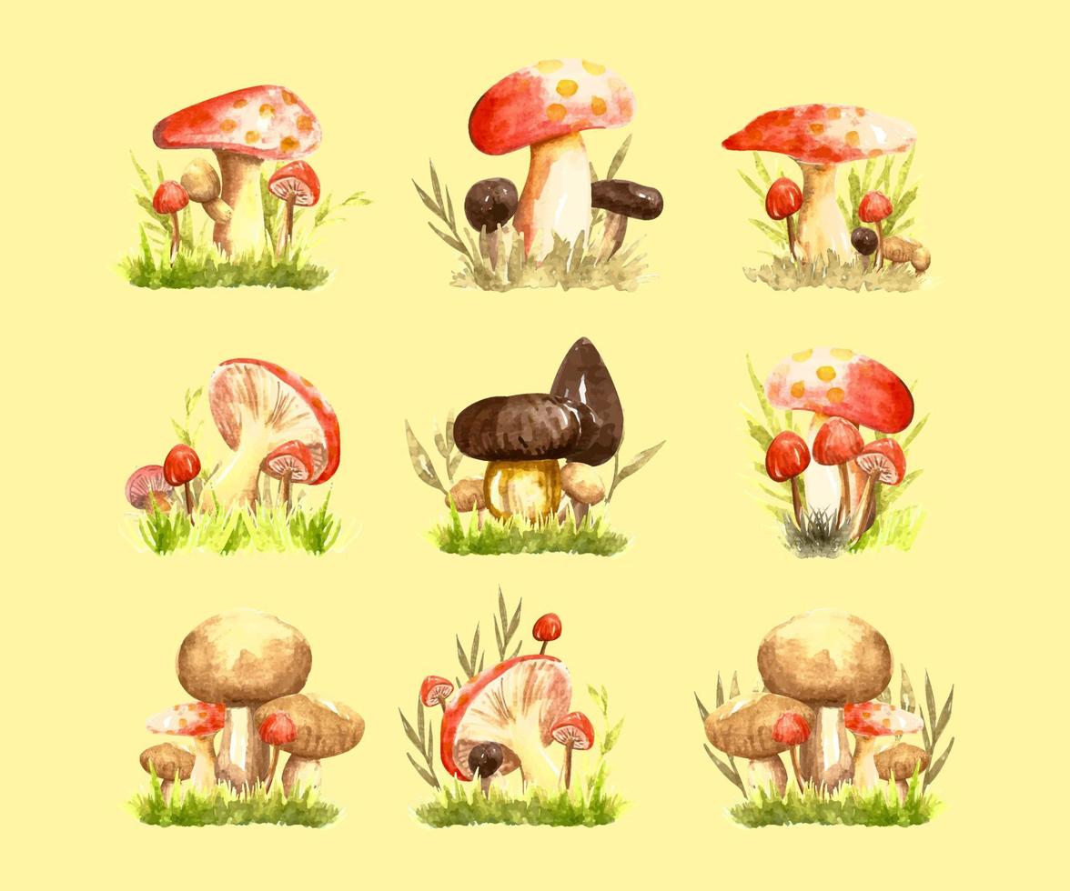 Set of watercolor red and brown mushroom clipart. Hand drawn fungus watercolor illustration. vector