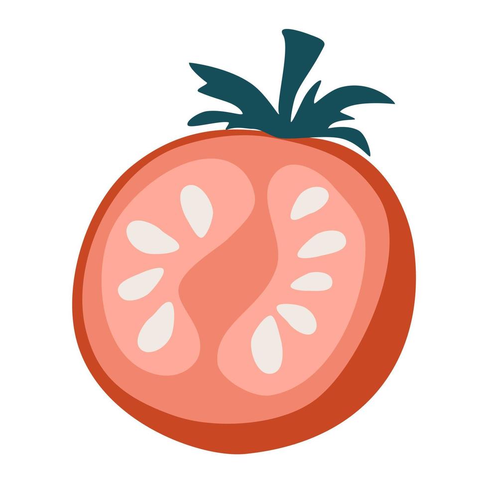 Tomato. Ripe tomato slice. Vegetables. Healthy foods. Vector cartoon illustration. Isolate on a white background.