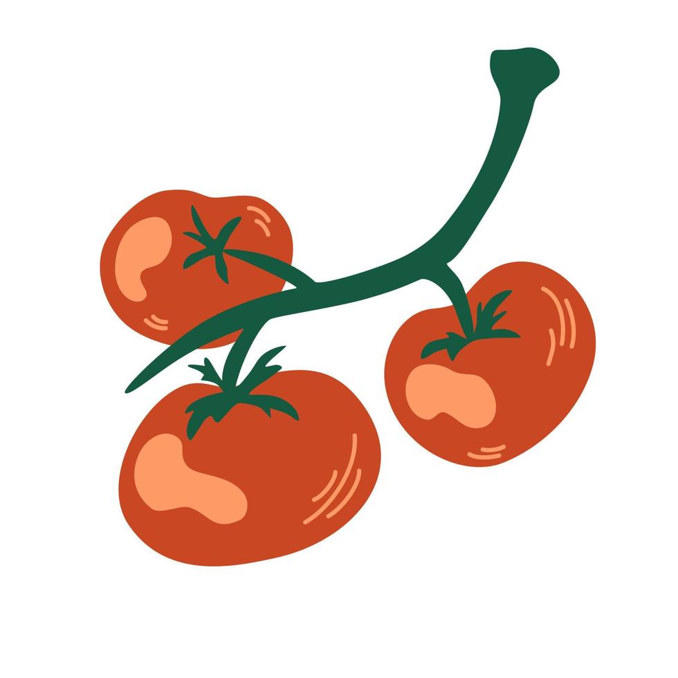 tomates en una rama. Composición de tomate cherry rojo. comida saludable. verduras. ilustración de dibujos animados de vector. aislar sobre un fondo blanco. vector