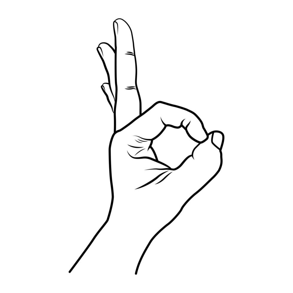 Hand illustration in line art style with okay symbol vector