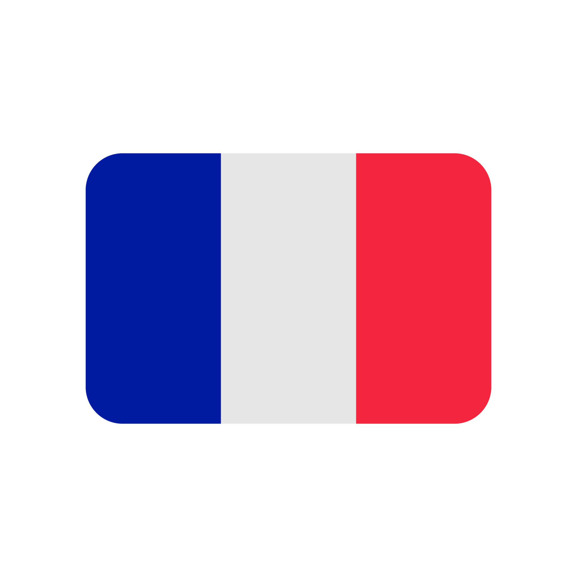 https://static.vecteezy.com/system/resources/previews/008/296/145/original/france-flag-icon-isolated-on-white-background-free-vector.jpg
