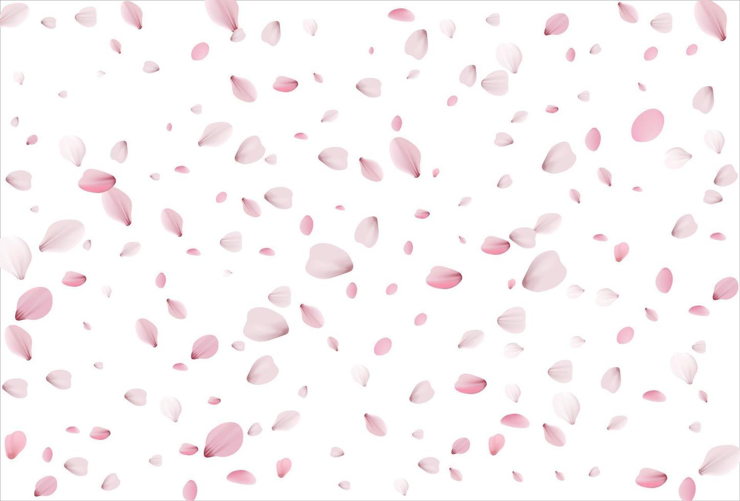 Cherry petals backdrop. Sakura petals background. vector