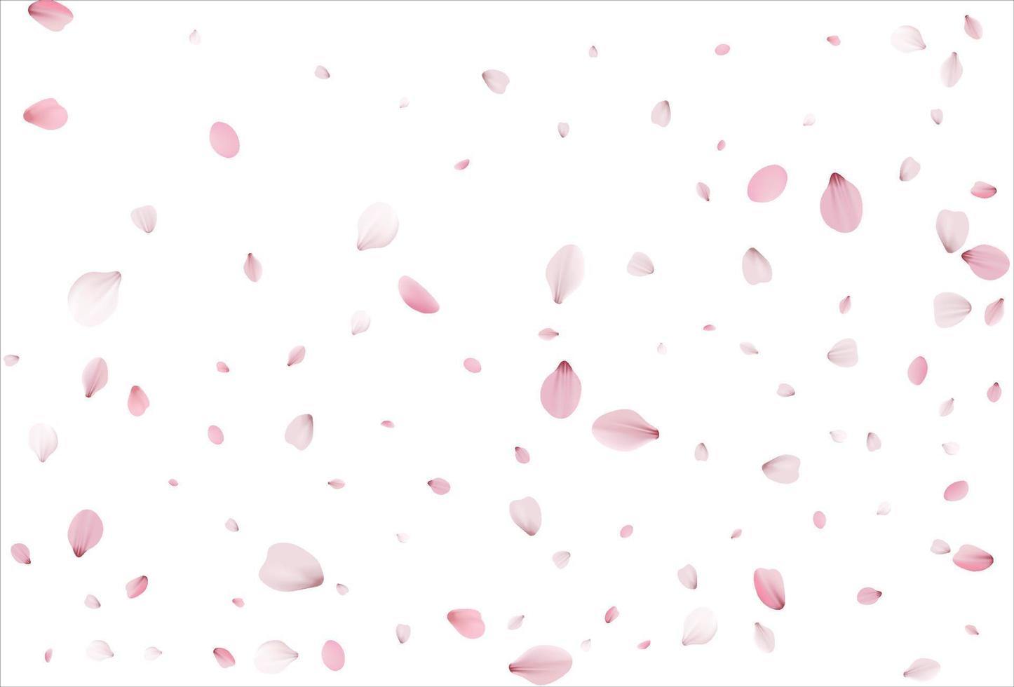 Sakura petals background. Cherry petals backdrop vector