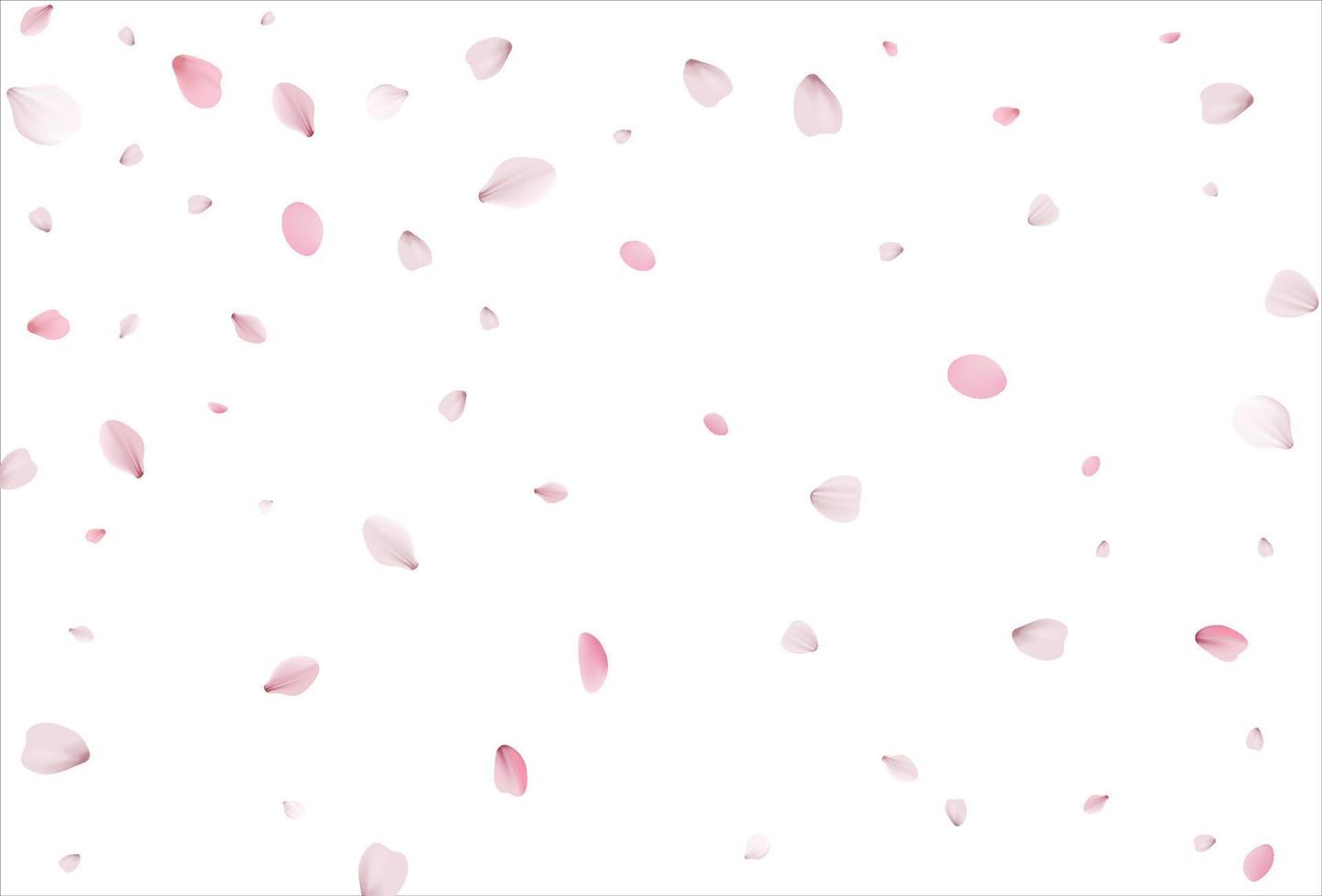 Sakura petals background. Cherry petals backdrop vector