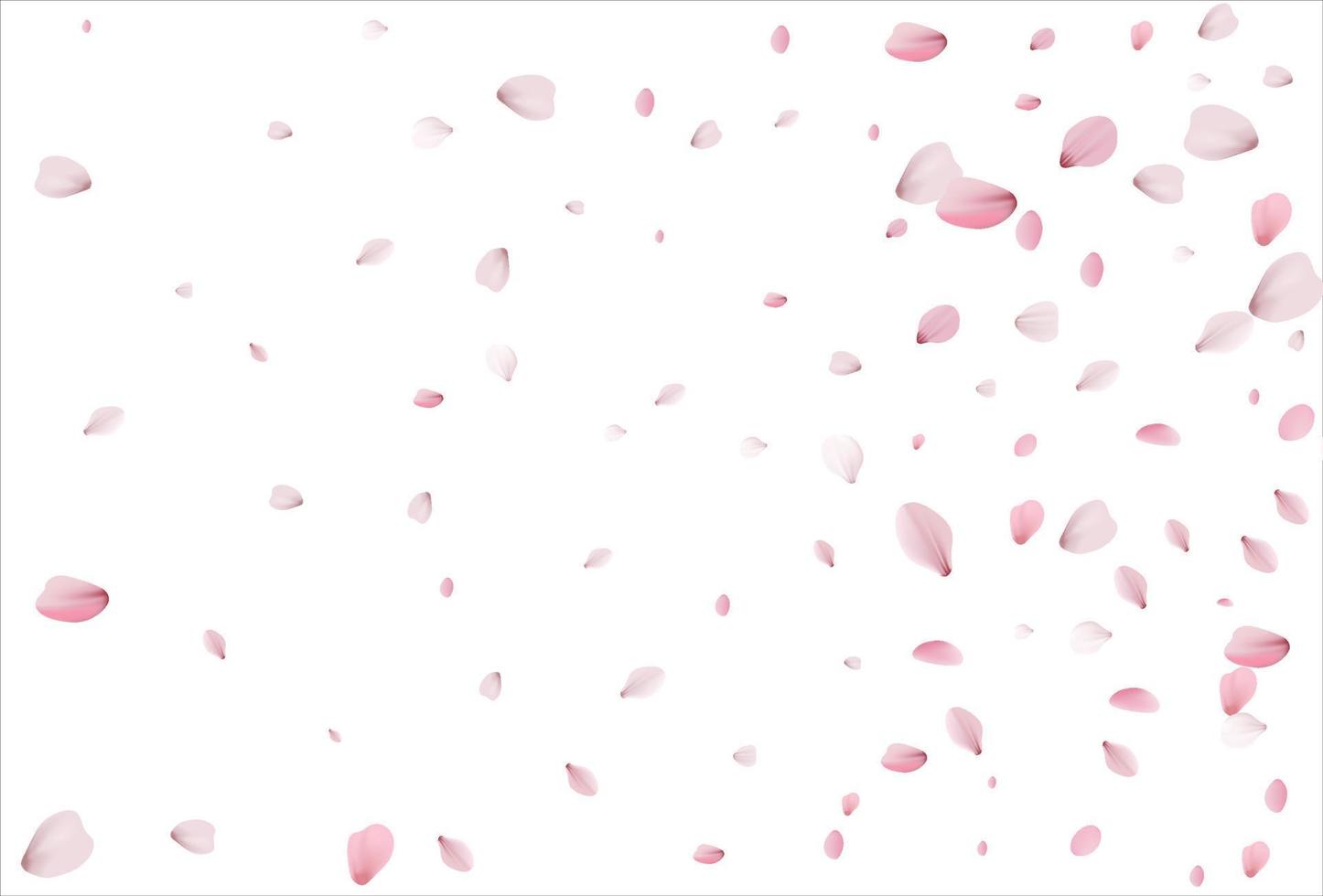 Cherry petals backdrop. Sakura petals background. vector