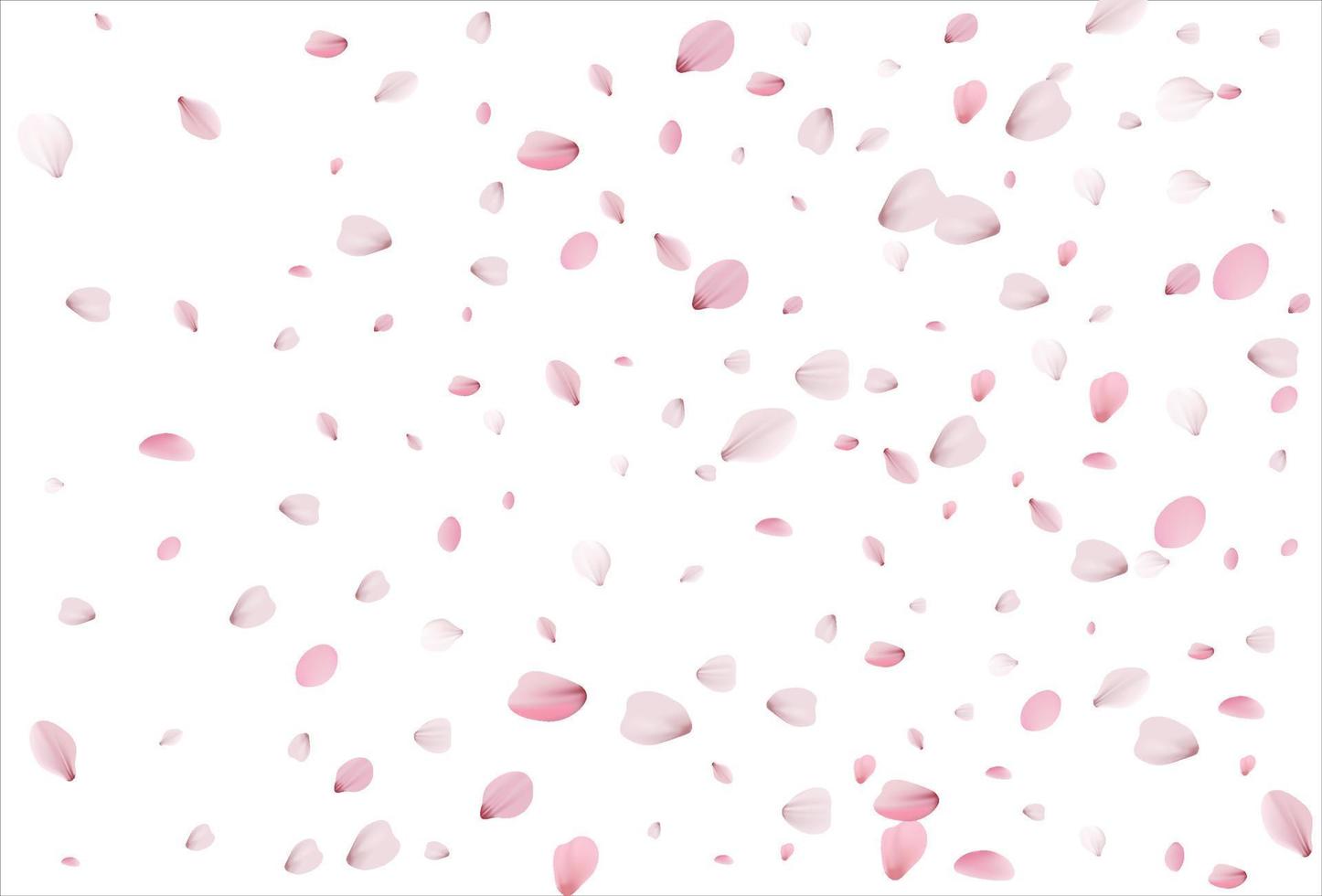 Cherry petals backdrop. Sakura petals background. vector