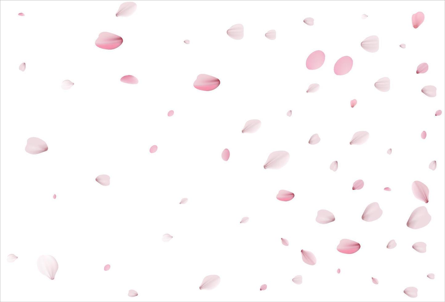 Cherry petals backdrop. Sakura petals background. vector