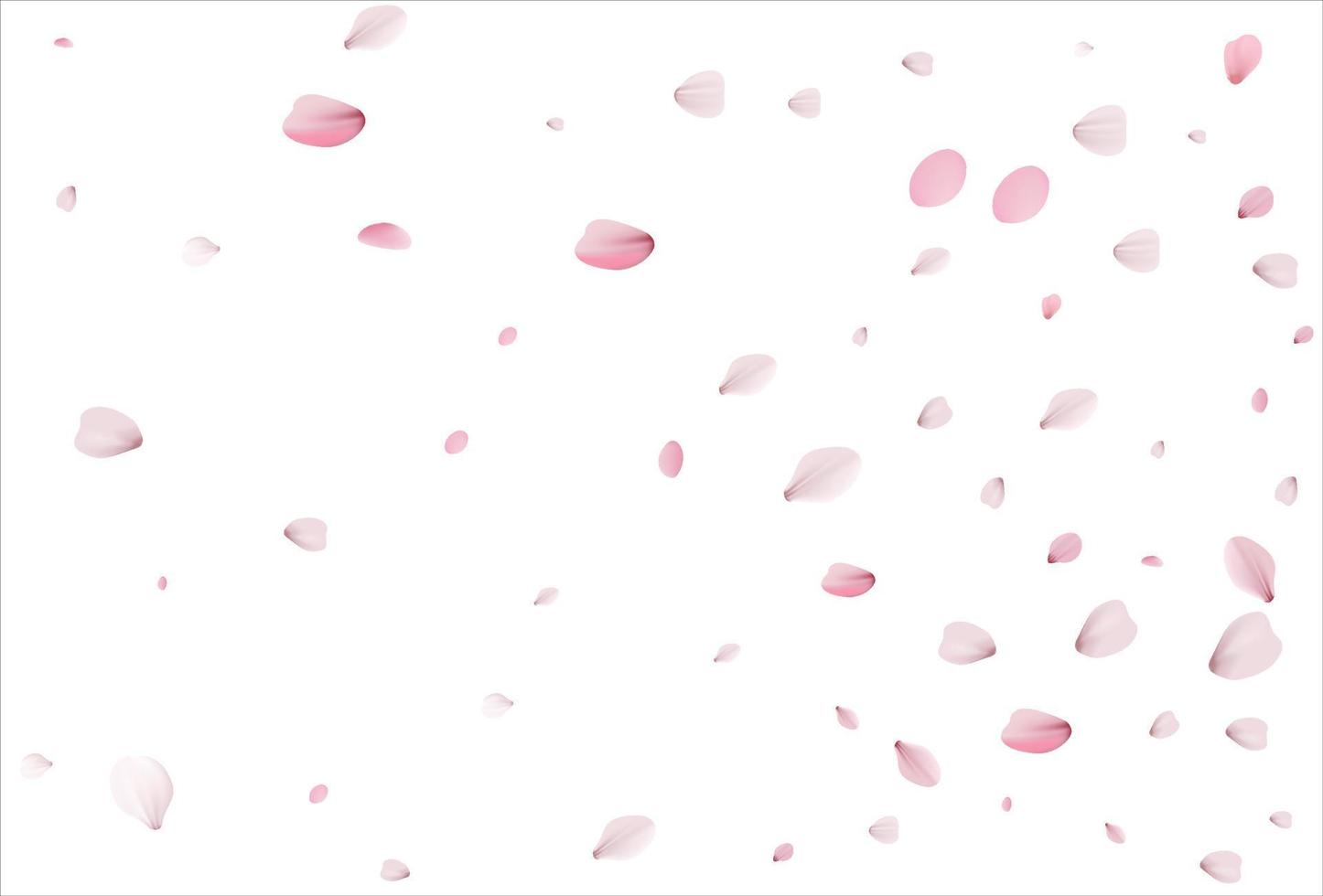 Cherry petals backdrop. Sakura petals background. vector