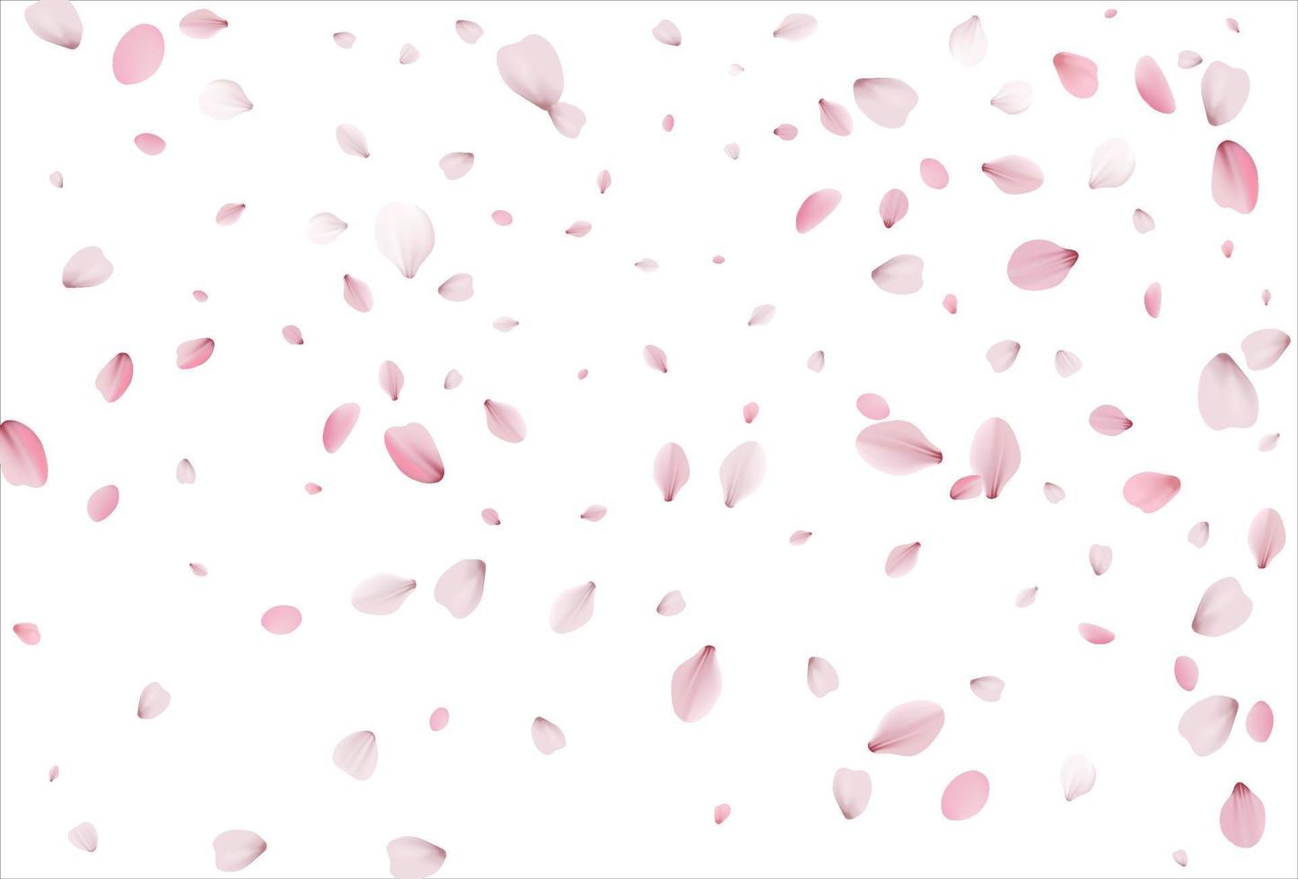 Sakura petals background. Cherry petals backdrop vector