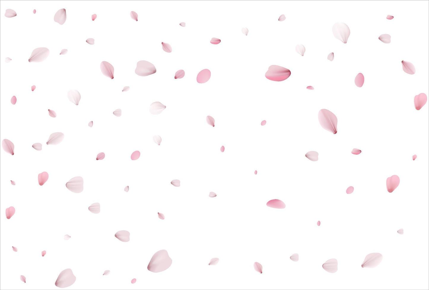 Cherry petals backdrop. Sakura petals background. vector