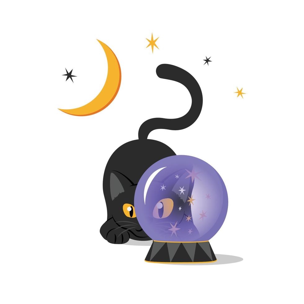 Cute Black Cat with Yellow Eyes Looks Through Witch Magic Crystal vector