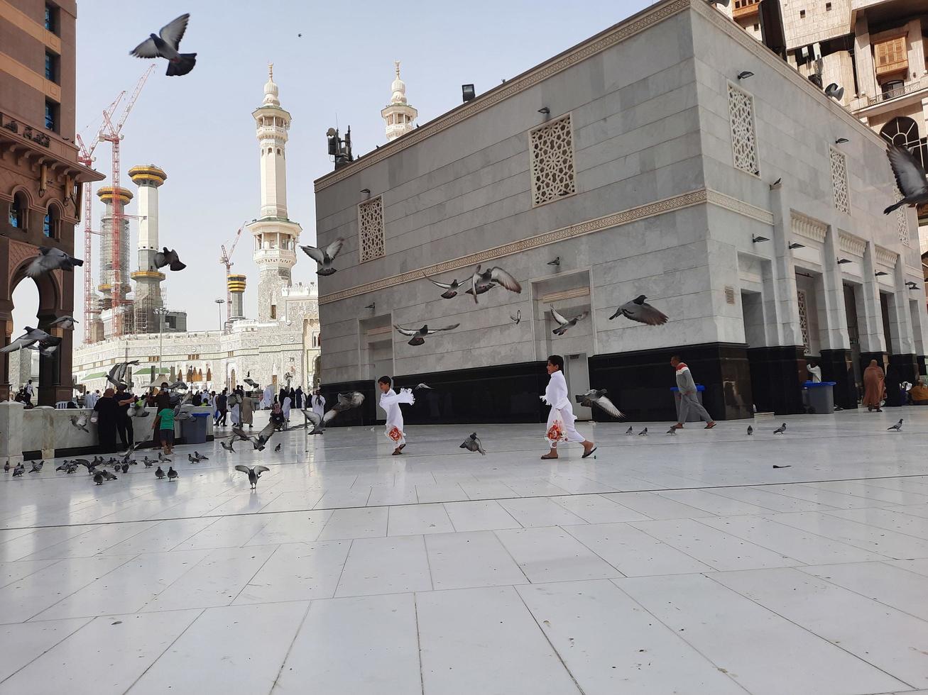 Mecca, Saudi Arabia, June 2022 -  Beautiful view of the pigeons in the Masjid al-Haram in Mecca. Visitors are seen feeding the pigeons. photo