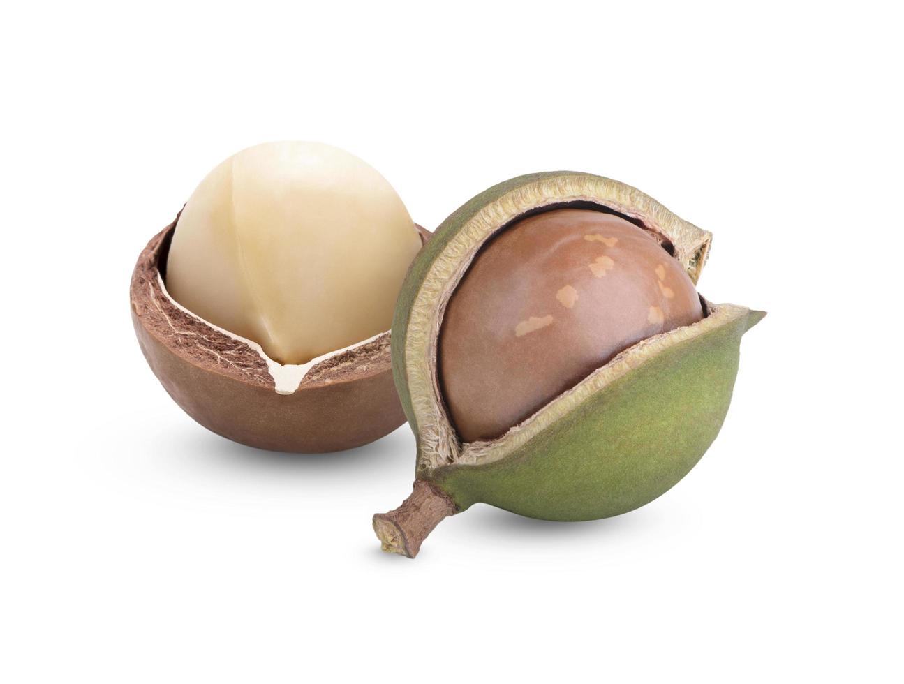 Macadamia nuts, isolated on white background. Shelled and unshelled macadamia. photo