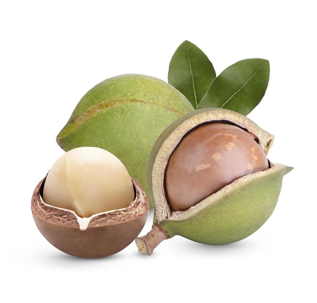 Macadamia nuts, isolated on white background. Shelled and unshelled macadamia. photo