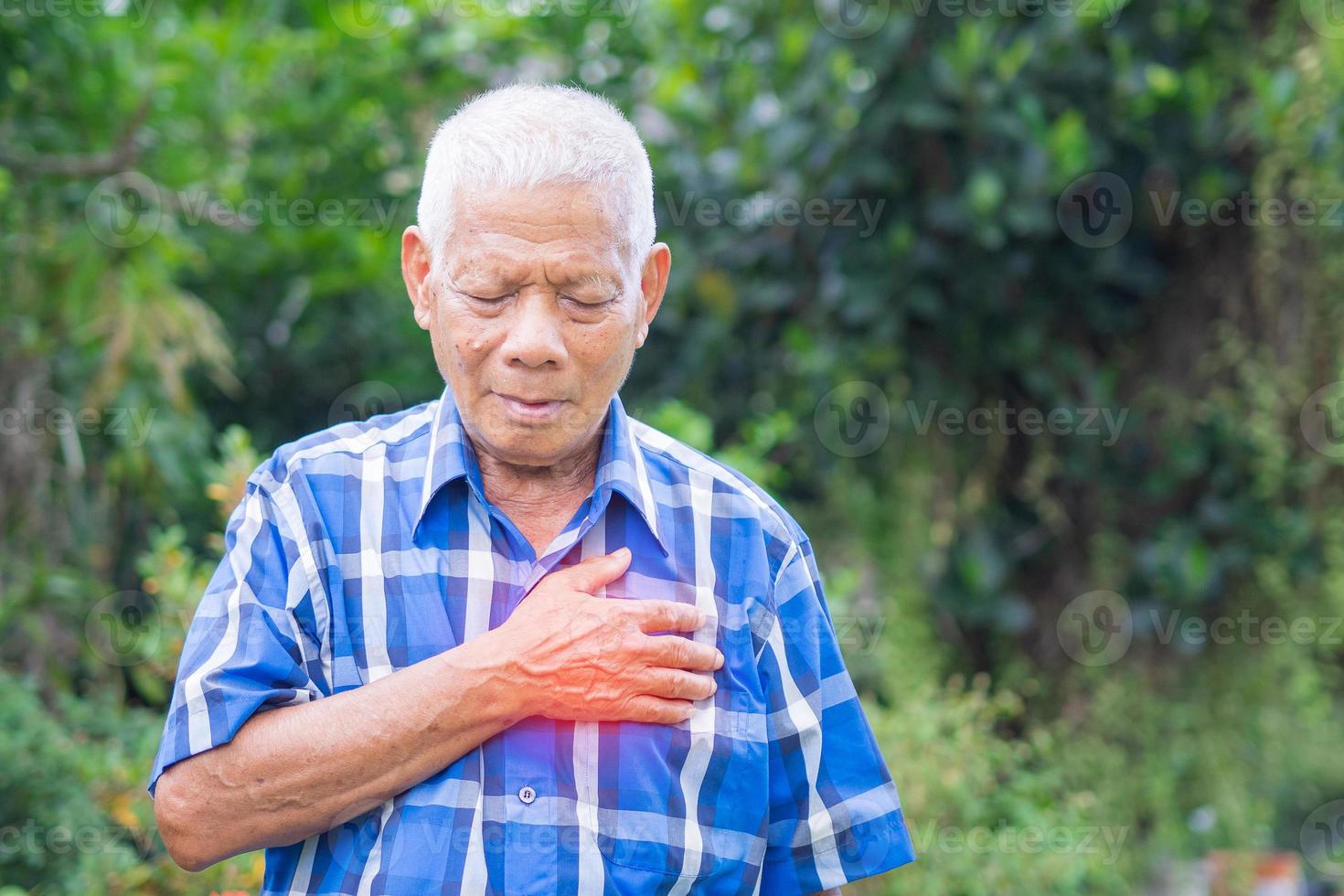 Senior man clutching chest pain while standing in a garden photo