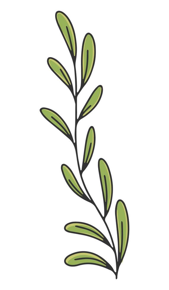 Olive branch with leaves. Olive oil label or logo for a farmers shop or market. Retro emblem of organic olive oil vector illustration isolated on white background.