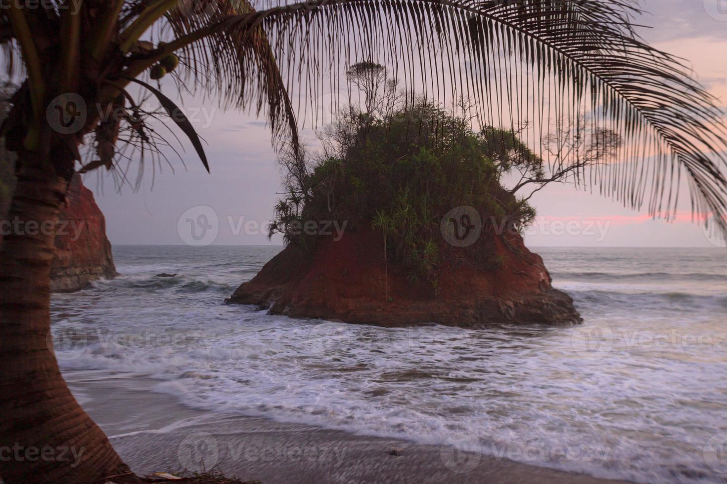 Bengkulu beach with sunset and coconut trees photo