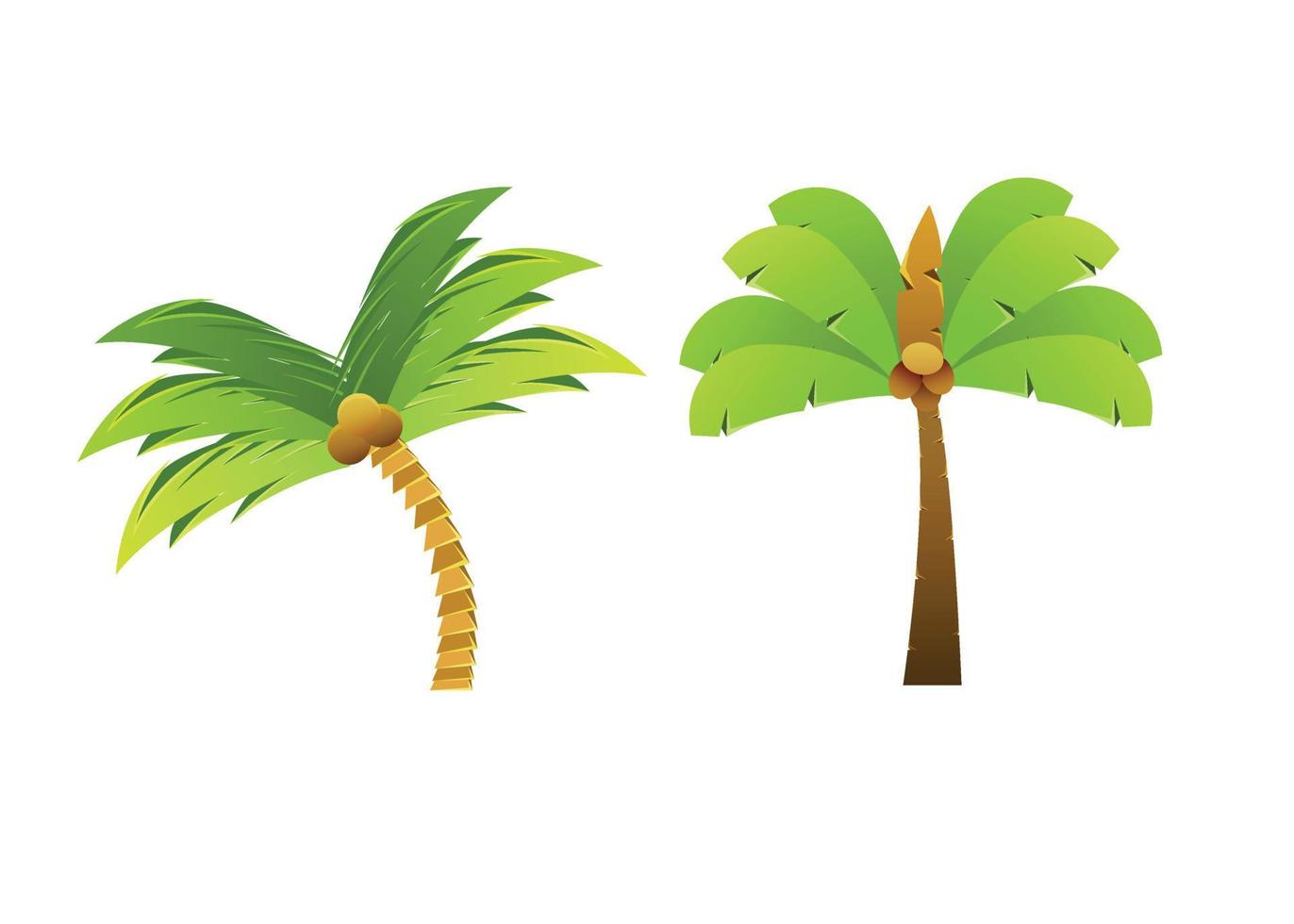 Palm Tree Illustration vector