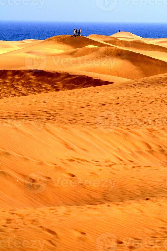 Sand dunes near the ocean photo