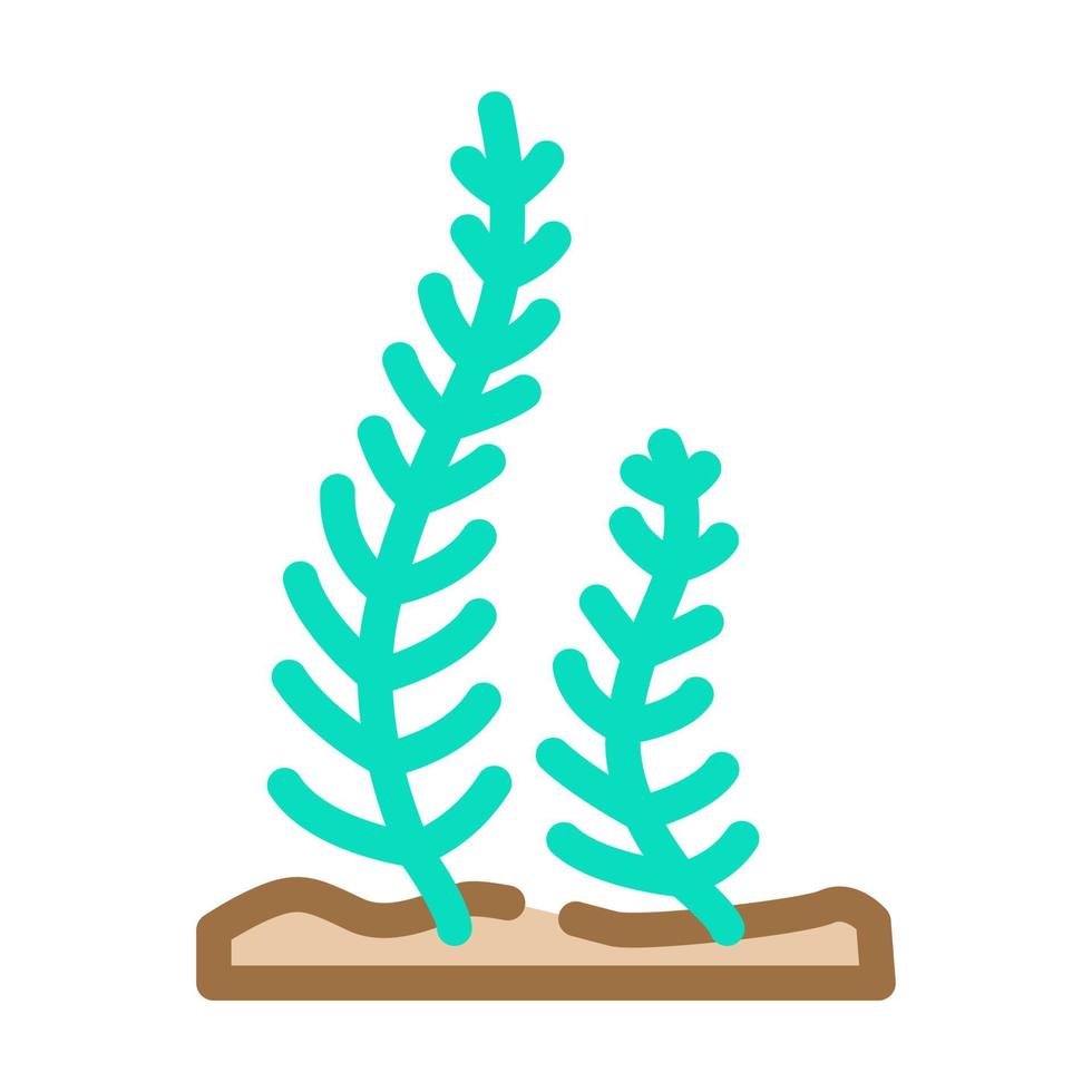caulerpa taxifolia algas color icono vector ilustración