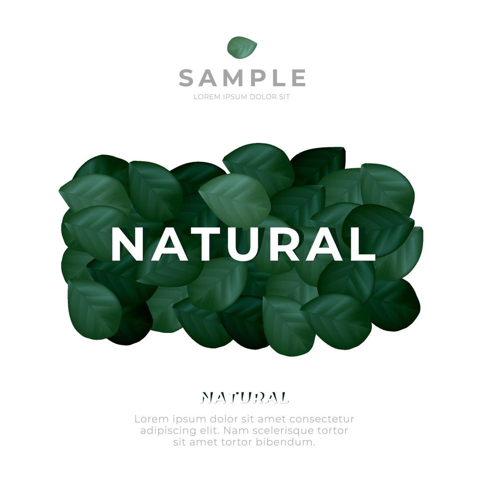 The leaf background feels natural and fresh for your product. Background template is simple and look clean make your product luxury and elegant. vector