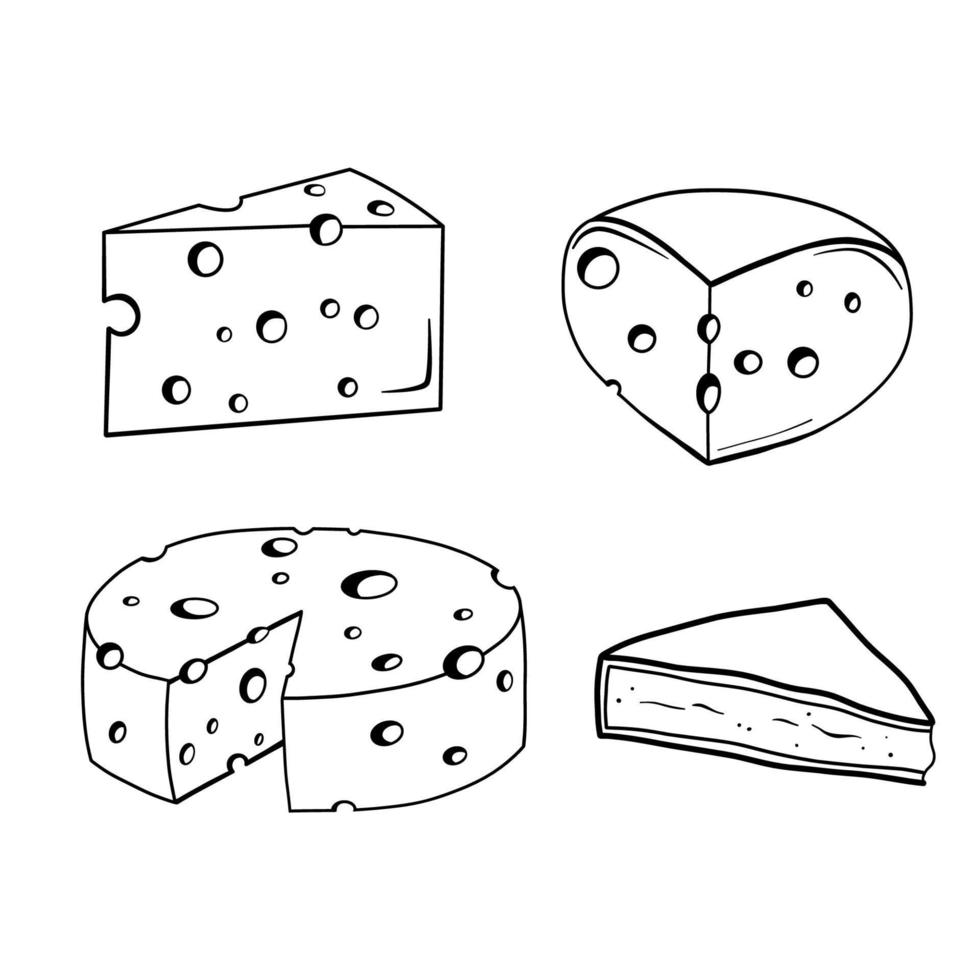 Piece of cheese with holes and brie camembert isolated on white. Vector line illustration. Set of dairy products in doodle style.