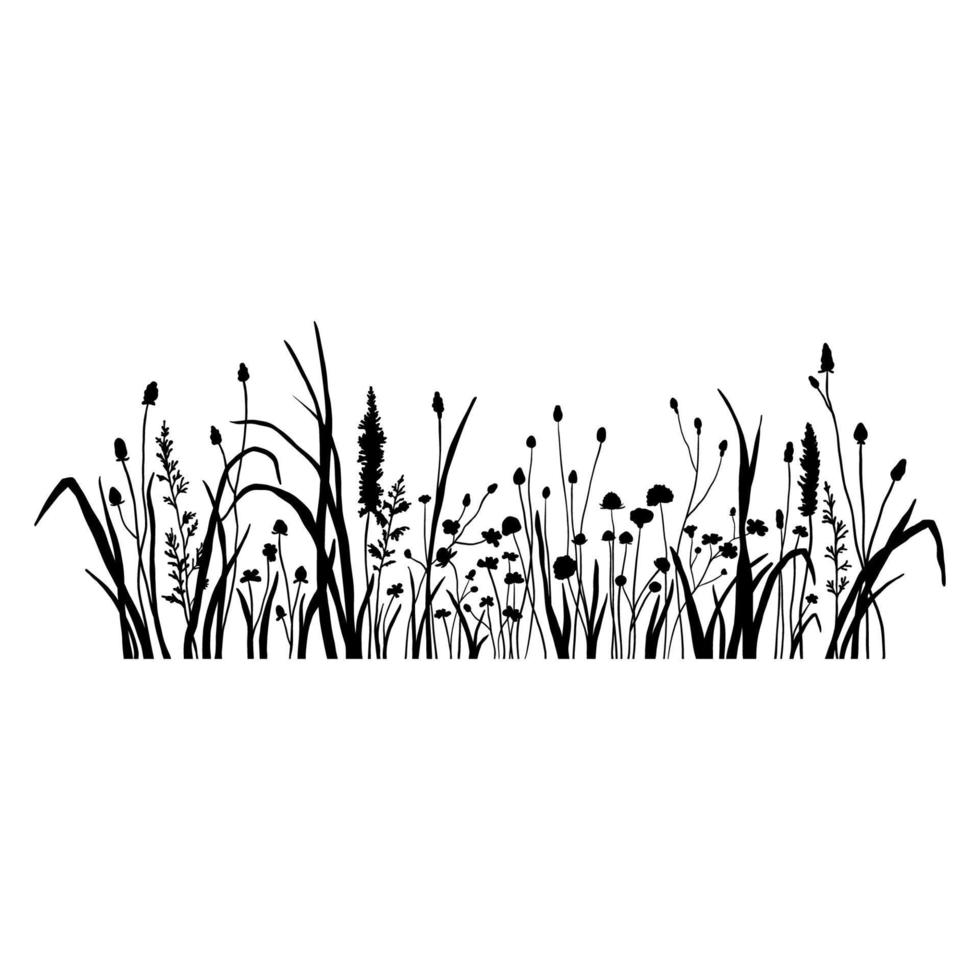 Silhouette wildflowers grass. Vector black hand drawn illustration with summer flowers. Shadow of herb and plant. Nature field isolated on white background