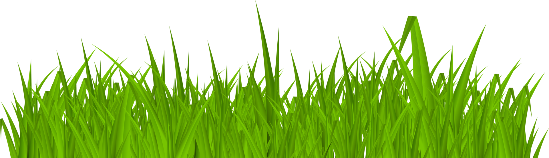 Grass PNGs for Free Download