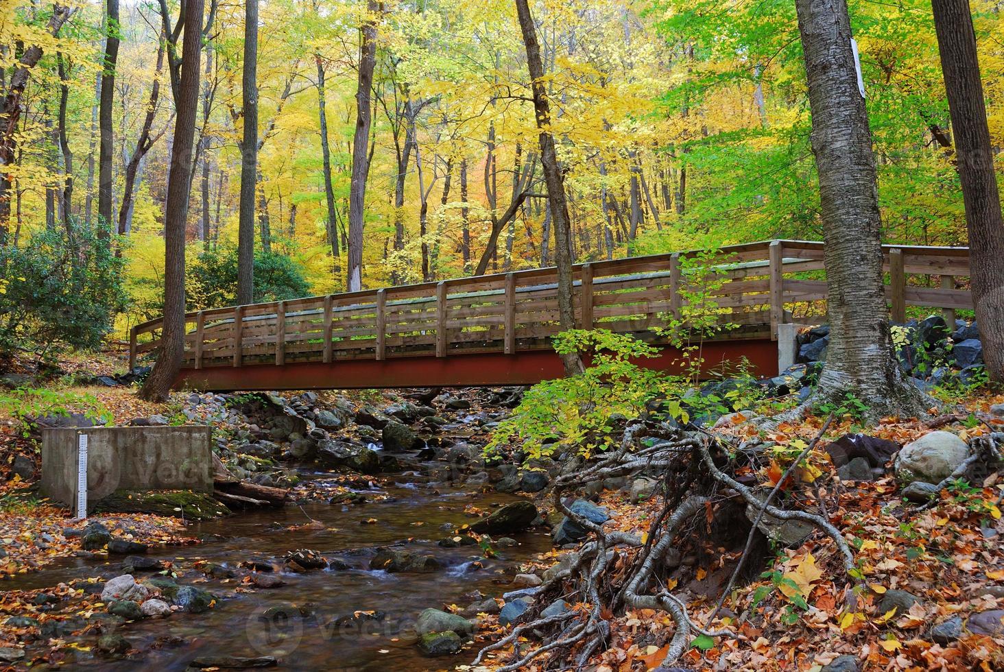 Autumn wood bridge over creek photo