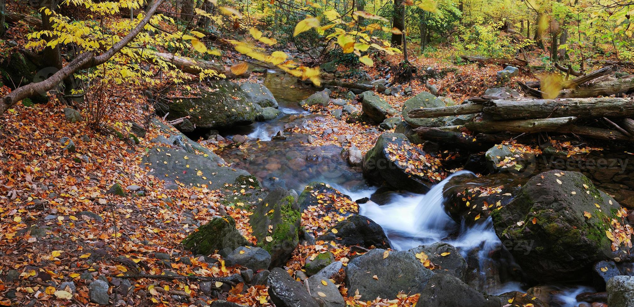 Autumn creek closeup panorama photo